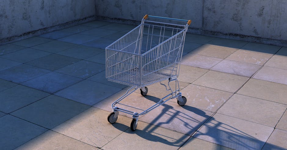 Grocery & Shopping Help